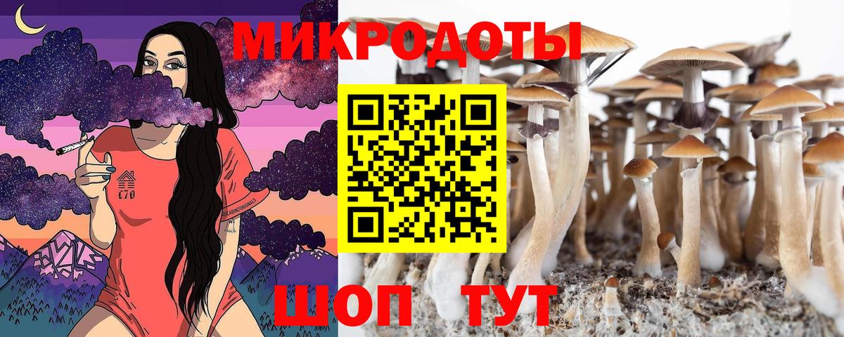 Владикавказ  Псилоцибиновые грибы мухоморы  Галлюциногенные грибы GOLDEN TEACHER  Вход с VPN 