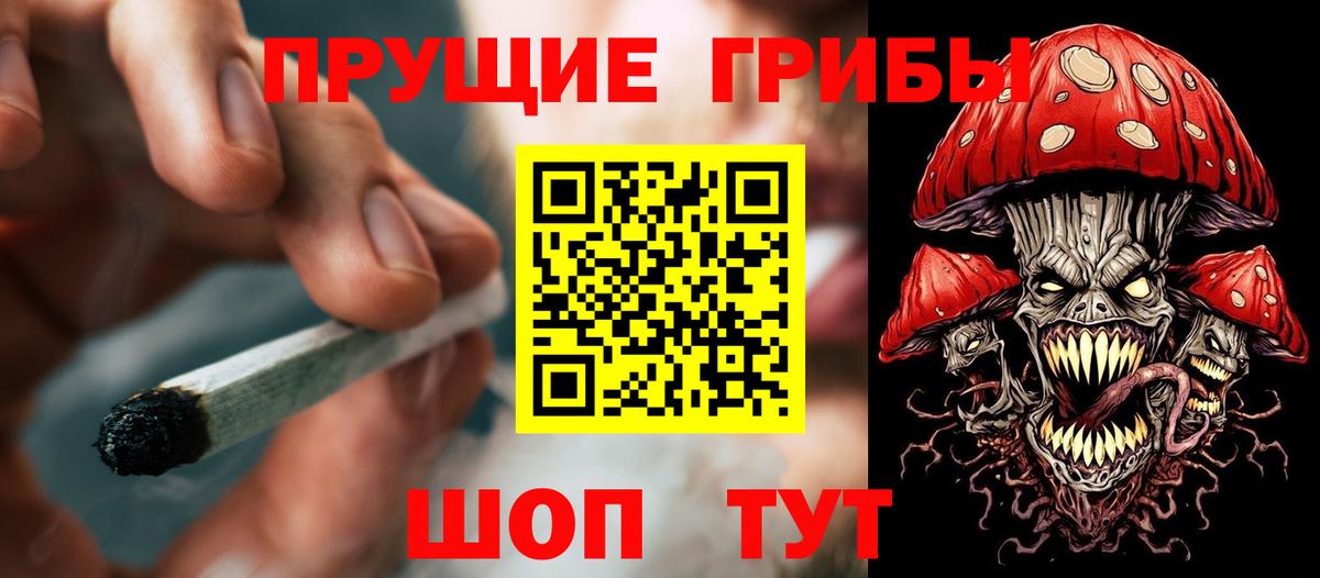 Галлюциногенные грибы MAGIC MUSHROOMS Владикавказ